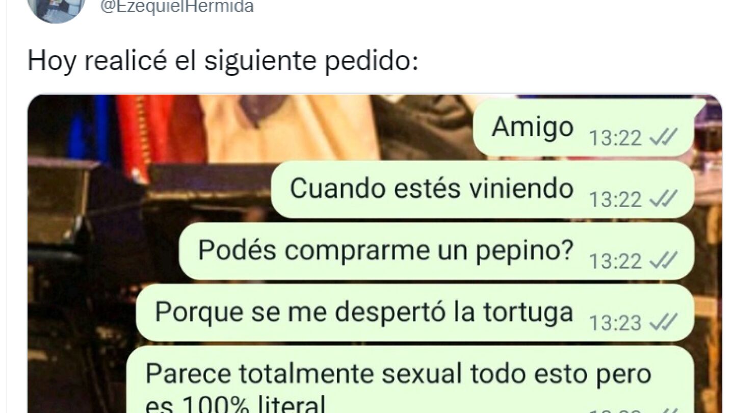 Tuit tortuga