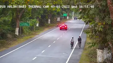 Un ciclista sobrevive al repentino ataque de un leopardo en una carretera de la India y el vídeo esta causando furor en las redes