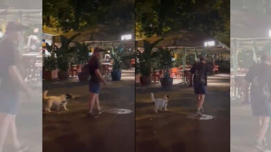 Malbert recibe una agresión homófoba y su respuesta sorprende a todos en redes