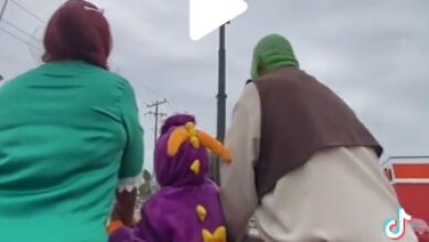 Una pareja se disfraza de Shrek y Fiona para su boda y un unánime Tik Tok opina: 