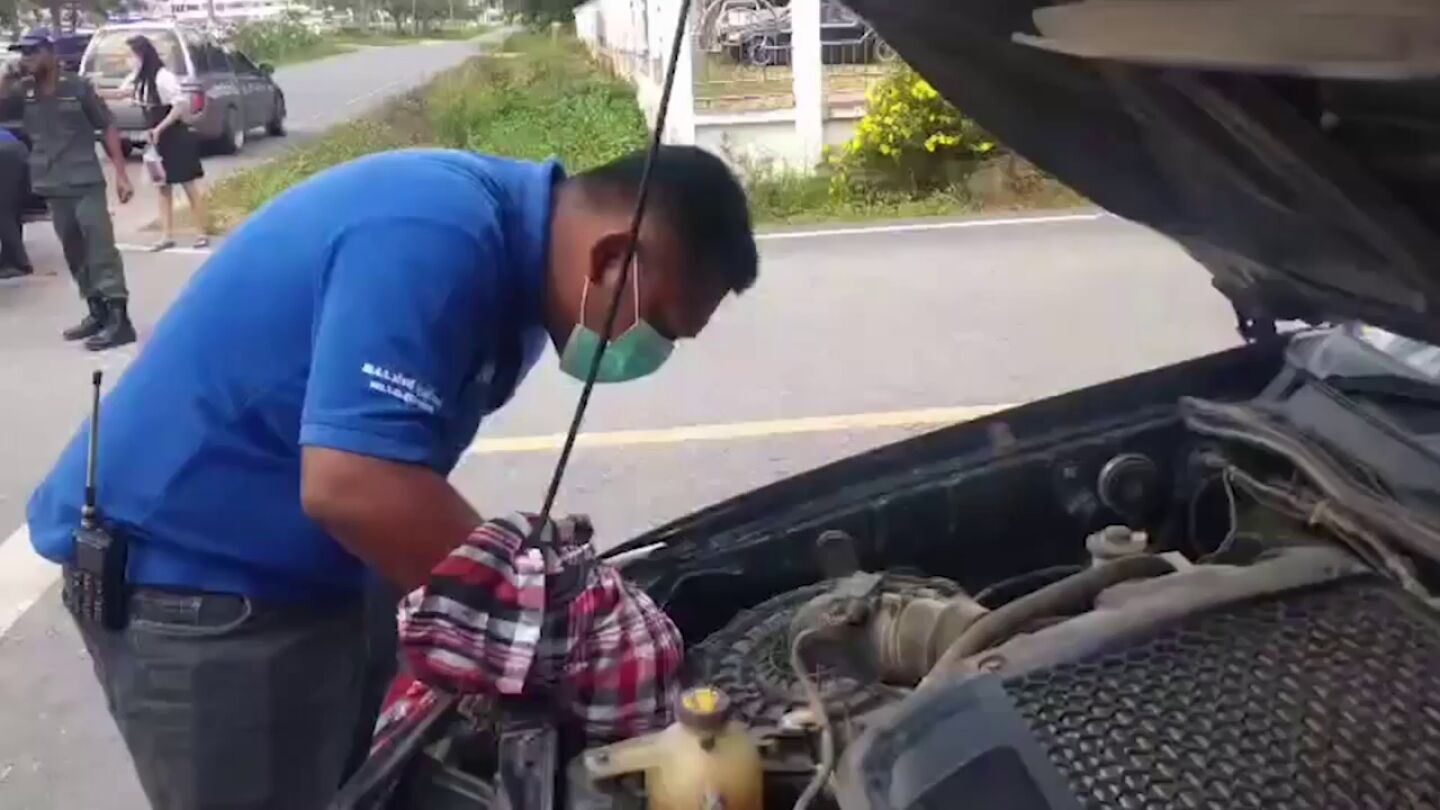 Rescatan a un gato despu&eacute;s de quedar atrapado dentro de una camioneta mientras escapaba de los perros