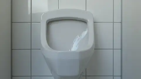 Urinario. Urinario.