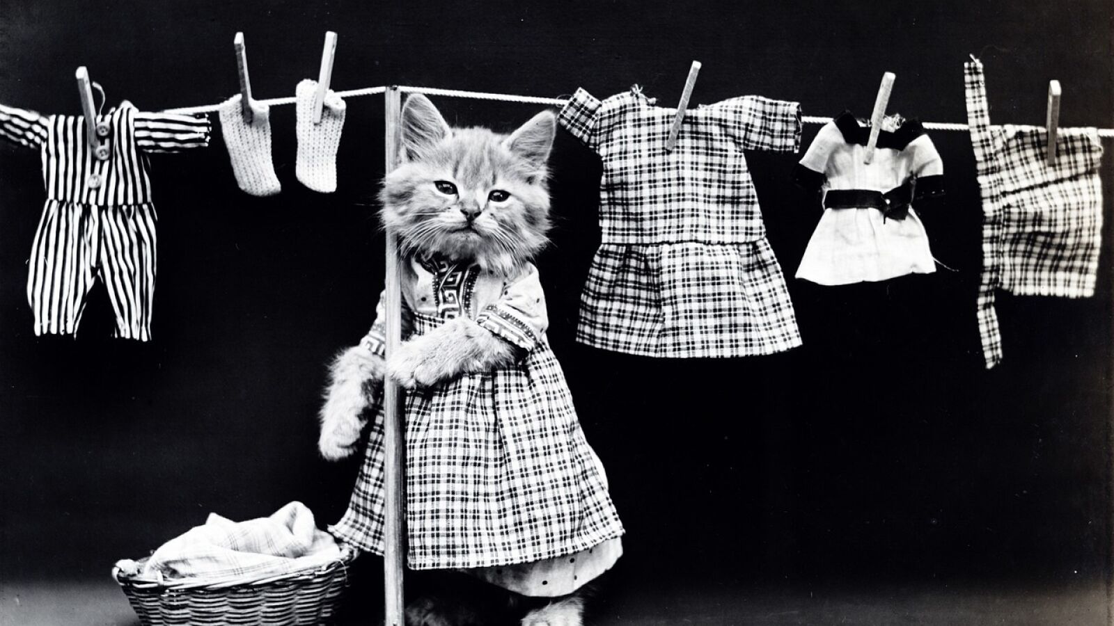 ¿Vestir de negro es tan favorecedor como pensamos? El engaño de la moda