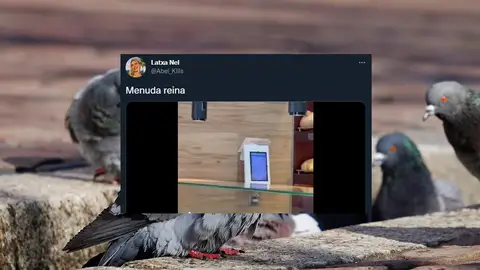 El vídeo sobre el singular cliente que visita una panadería de Barcelona que ha puesto patas arriba todo Twitter El vídeo sobre el singular cliente que visita una panadería de Barcelona que ha puesto patas arriba todo Twitter