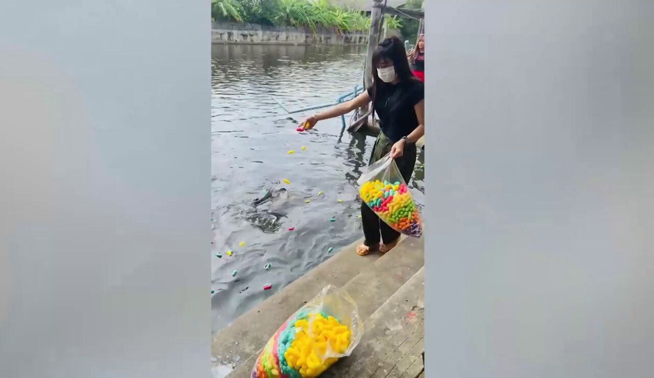 Una turista alimenta a unos peces en un rio de Tailandia cuando ocurre la tragedia