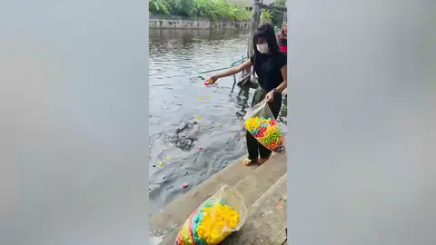 Una turista alimenta a unos peces en un rio de Tailandia cuando ocurre la tragedia Una turista alimenta a unos peces en un rio de Tailandia cuando ocurre la tragedia