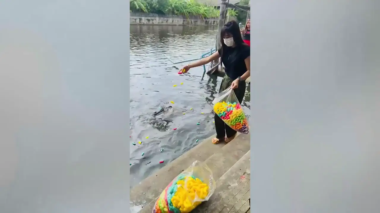Una turista alimenta a unos peces en un rio de Tailandia cuando ocurre la tragedia