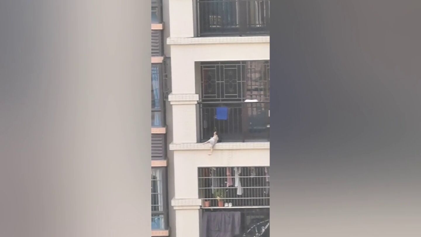 Un hombre rescata a un beb&eacute; que se hab&iacute;a quedado colgando del balcon de un s&eacute;ptimo piso
