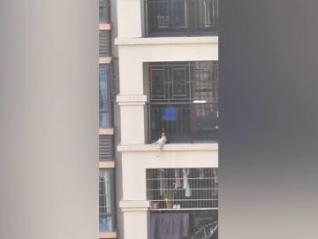 Un hombre rescata a un bebé que se había quedado colgando del balcon de un séptimo piso
