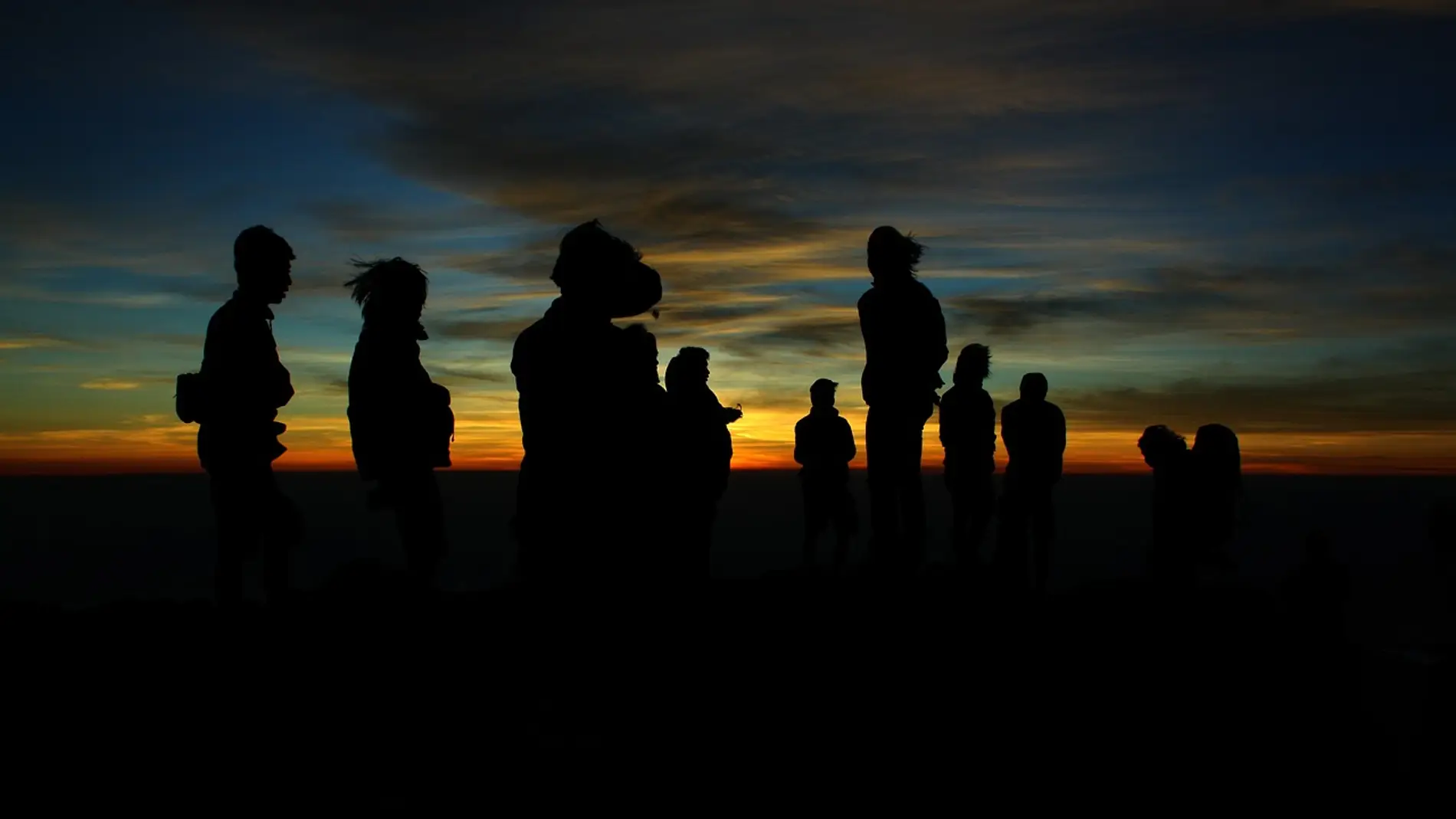 Siluetas de personas en el campo