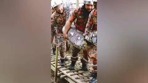 Una gigantesca serpiente regurgita una cabra entera que acababa de devorar Una gigantesca serpiente regurgita una cabra entera que acababa de devorar