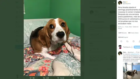 Twitter de @sarahuertos Twitter de @sarahuertos