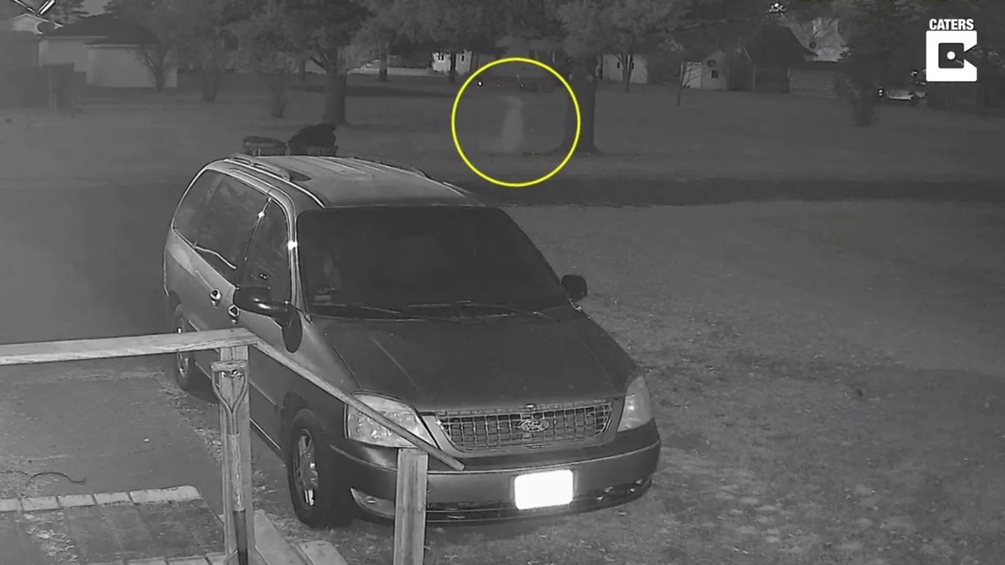 Escucha a sus perros ladrar y cuando mira la camara de seguridad ve pasar un fantasma Escucha a sus perros ladrar y cuando mira la camara de seguridad ve pasar un fantasma