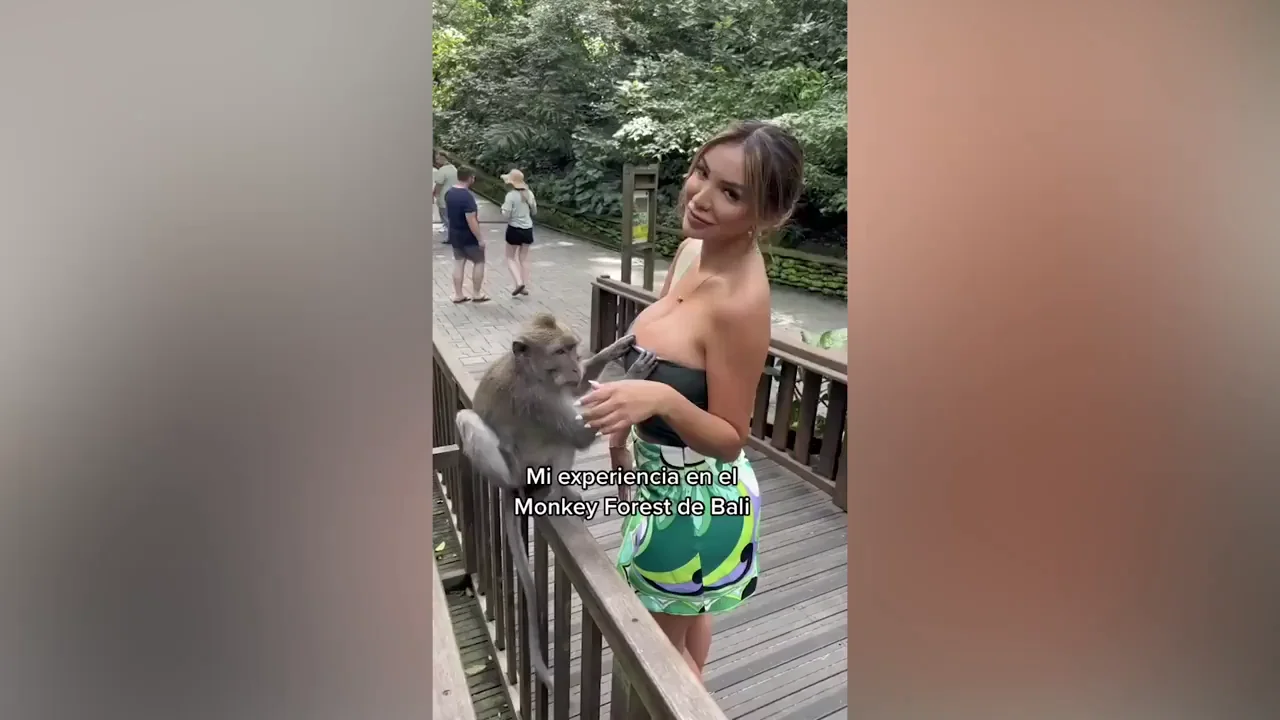 Una tiktoker intenta posar junto a un mono pero este intenta arrancarle la ropa