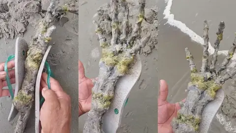 Encuentran un extraño esqueleto en una playa de Brasil Encuentran un extraño esqueleto en una playa de Brasil