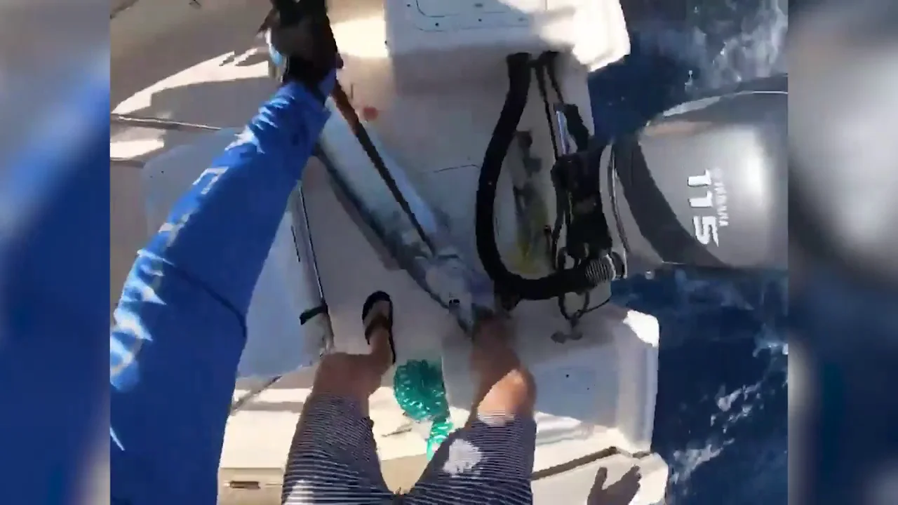 Un pescador hospitalizado despu&eacute;s del brutal ataque de un pez