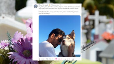 El hilo de Twitter más triste y poderoso: 