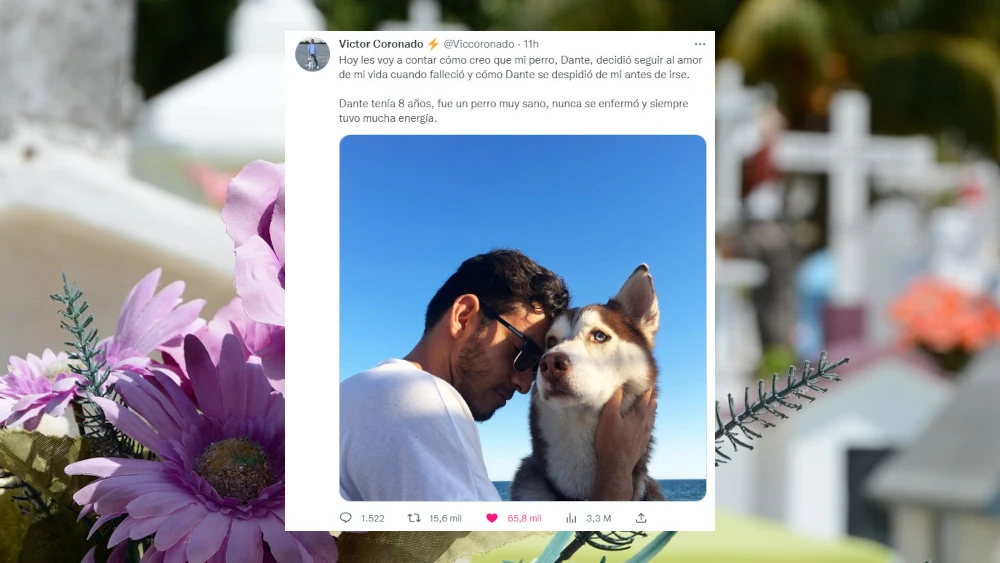 El hilo de Twitter m&aacute;s triste y poderoso