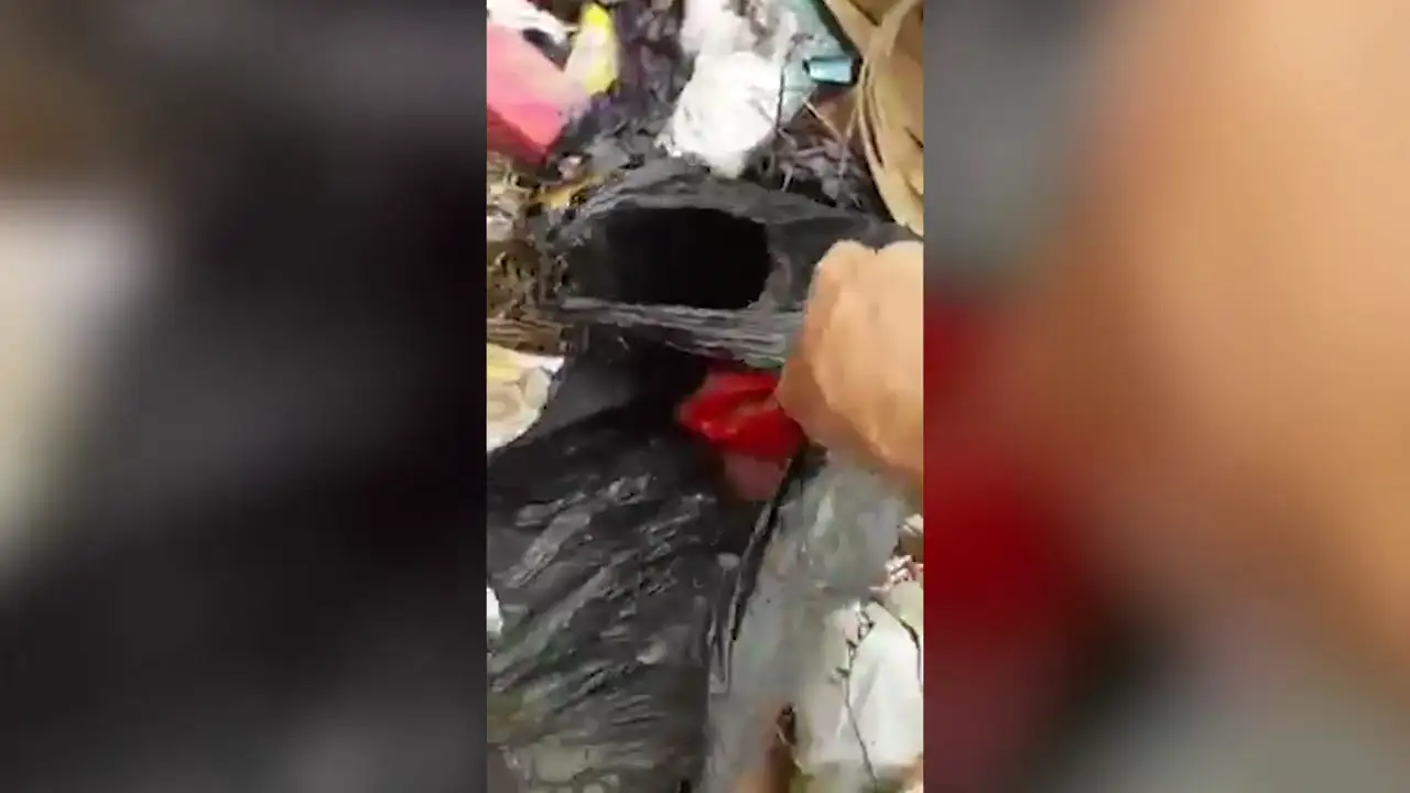 Rescatan a una bebe abandonada en la basura en Indonesia