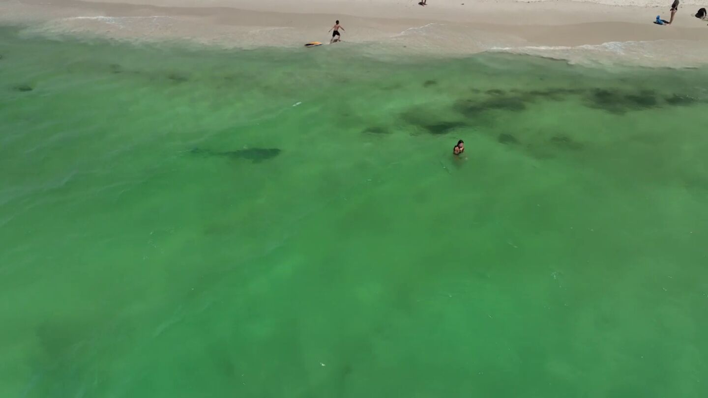 Un drone graba a un peligroso tibur&oacute;n nadando junto a unas chicas sin que se den cuenta