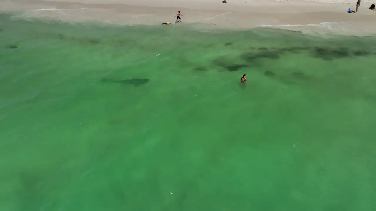 Un drone graba a un peligroso tiburón nadando junto a unas chicas sin que se den cuenta