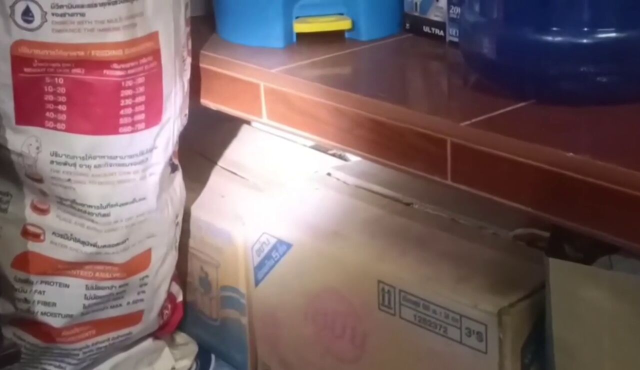 Escucho a su perro ladrar y cuando fue a mirar se llevó un susto aterrador