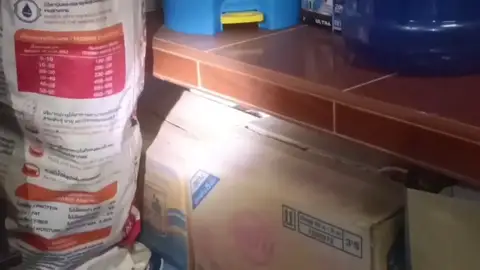 Escucho a su perro ladrar y cuando fue a mirar se llevó un susto aterrador Escucho a su perro ladrar y cuando fue a mirar se llevó un susto aterrador