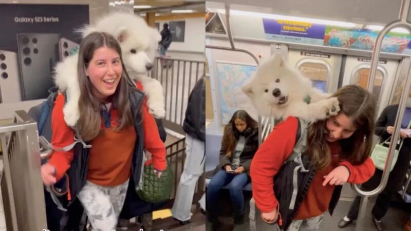 Una mujer pasea por Nueva York llevando a su perro de 23 kilos en la mochila