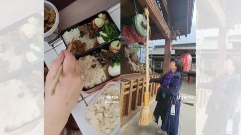 TikToks de Franchan sobre la familia japonesa TikToks de Franchan sobre la familia japonesa