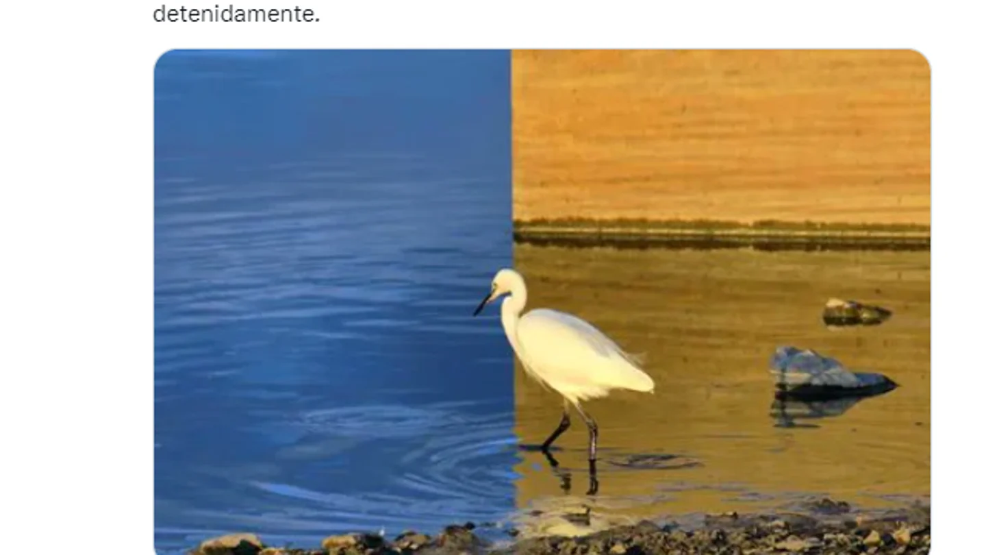 ¿Eres capaz de entender esta ilusión óptica? ¿Eres capaz de entender esta ilusión óptica?