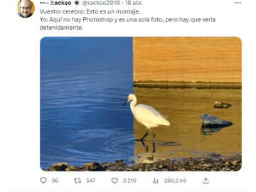 &iquest;Eres capaz de entender esta ilusi&oacute;n &oacute;ptica?