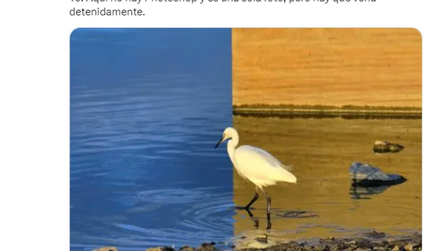 ¿Eres capaz de entender esta ilusión óptica? ¿Eres capaz de entender esta ilusión óptica?