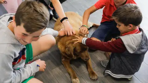 Niños juegan con Bobi Niños juegan con Bobi