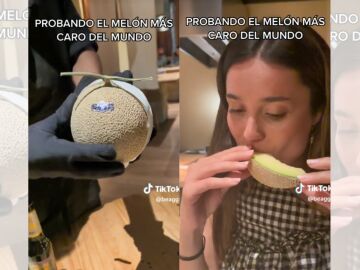 TikTok viral sobre el melón más caro del mundo.