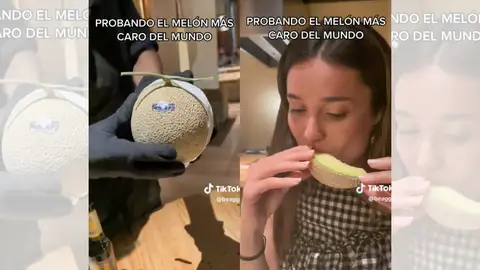 TikTok viral sobre el melón más caro del mundo. TikTok viral sobre el melón más caro del mundo.