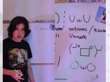 TikTok viral sobre la explicaci&oacute;n de los distintos emoticonos
