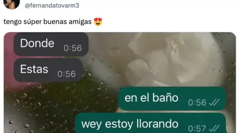 La brutal respuesta de sus amigas por WhatsApp cuando les dice que está en el baño La brutal respuesta de sus amigas por WhatsApp cuando les dice que está en el baño