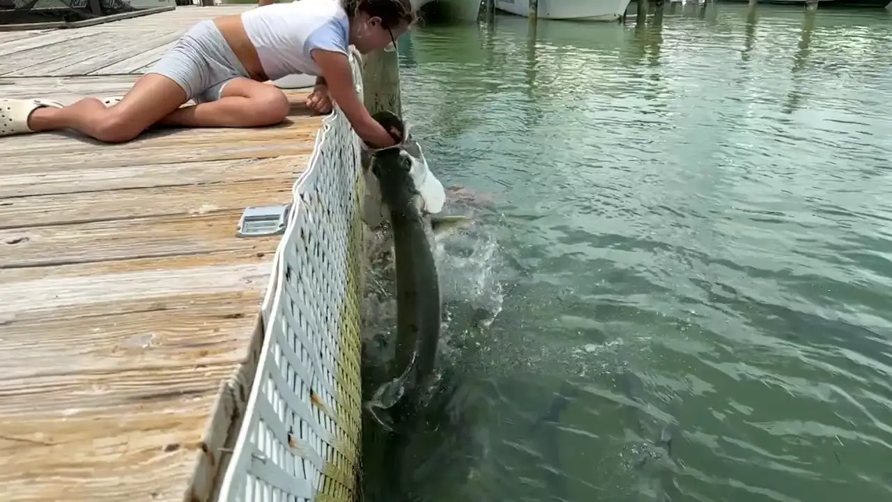 Un pez gigante sorprendió a esta niña que casi pierde el brazo