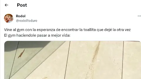 Pantallazo del tuit de @rodolfodure Pantallazo del tuit de @rodolfodure