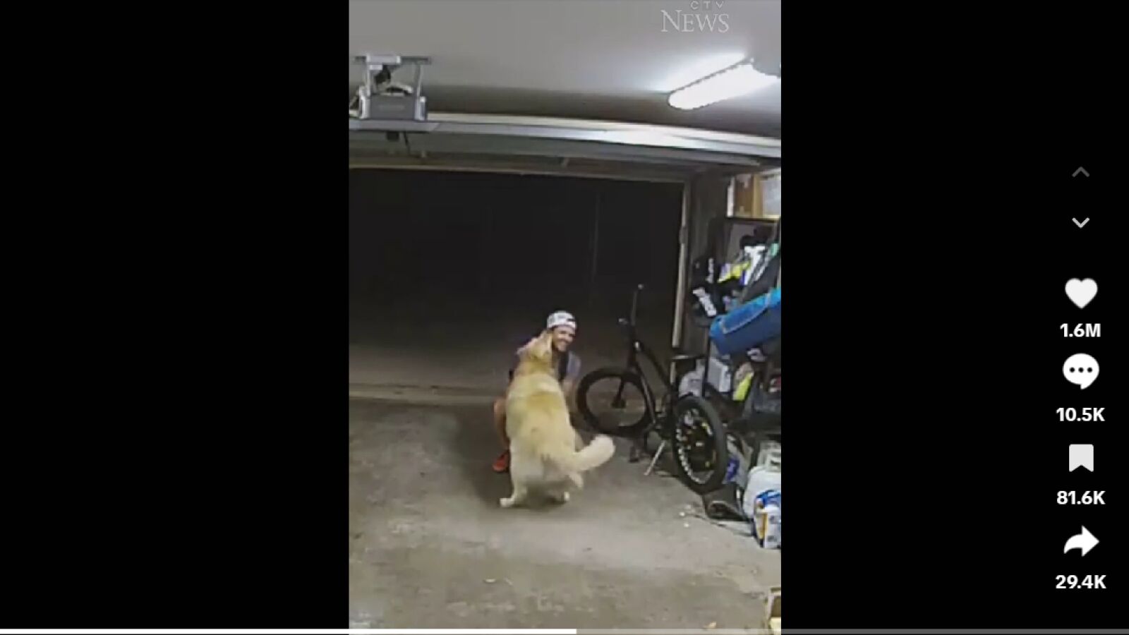 Un hombre roba una bici pero antes de llevársela se pone cariñoso con el perro de los dueños