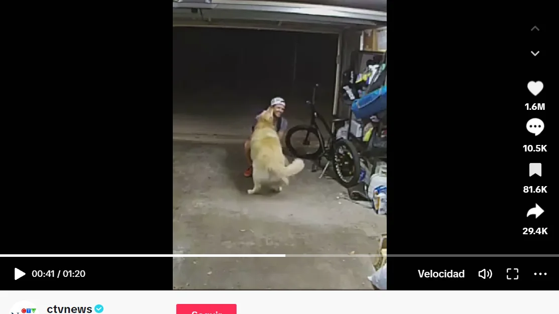 Pantallazo del tiktok de CTVNews