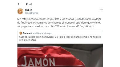 Pone este cartel por culpa de mascota: cuando tu gato es un manipulador y le llora a todo el mundo