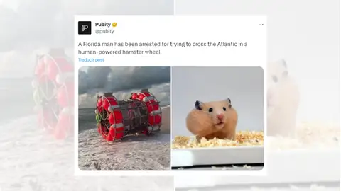 Noticia viral sobre la detención del hombre de Florida que intentaba cruzar el Atlántico. Noticia viral sobre la detención del hombre de Florida que intentaba cruzar el Atlántico.