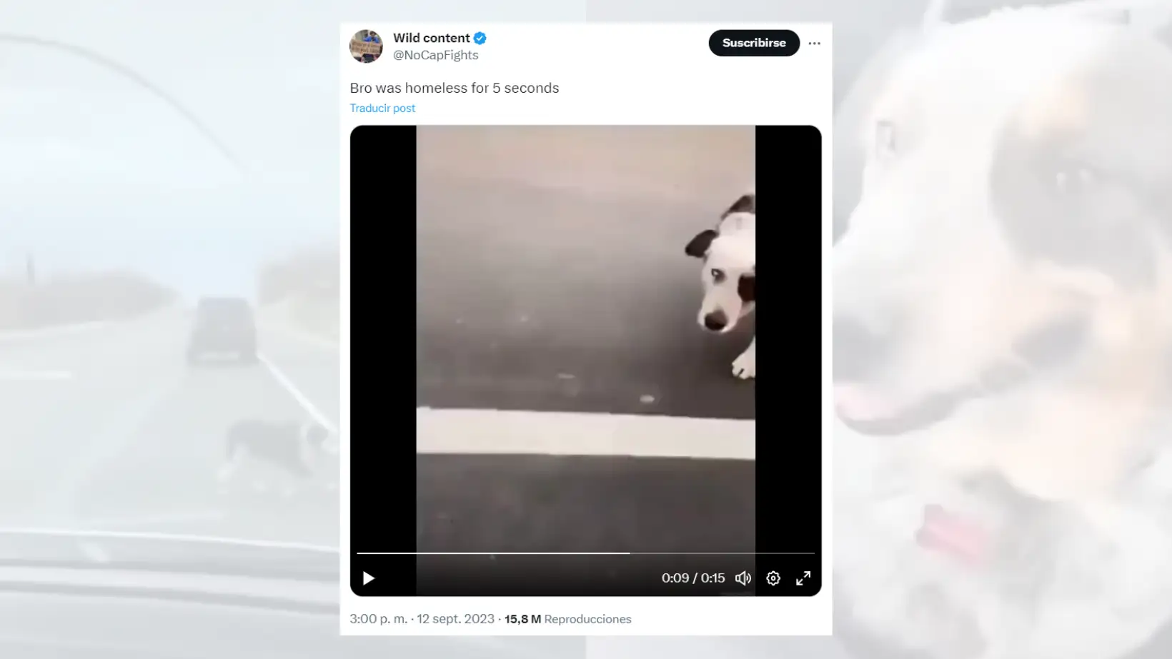 Tuit viral en el que comparte el vídeo del perro rescatado.