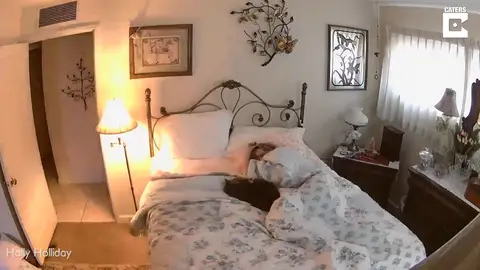 Actividad Paranormal Actividad Paranormal