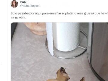 El pl&aacute;tano m&aacute;s grueso que he visto en mi vida