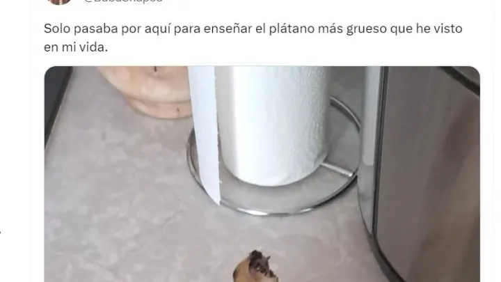 El pl&aacute;tano m&aacute;s grueso que he visto en mi vida