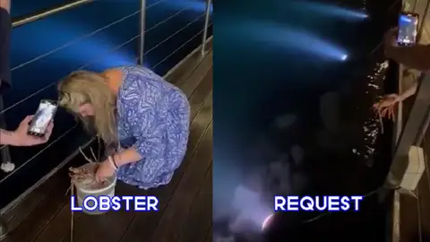 Vídeo viral en el que una mujer libera a una langosta viva de 200 dólares. Vídeo viral en el que una mujer libera a una langosta viva de 200 dólares.