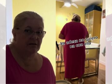 TikTok viral de una madre cabreada con Alexa.