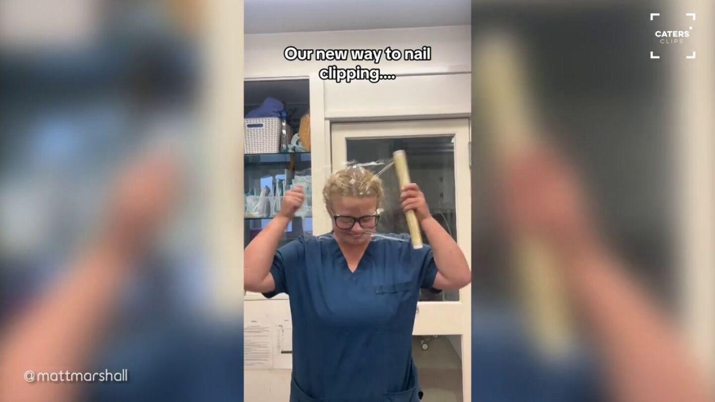 El genial truco de esta perruquer&iacute;a para conseguir cortarle facilmente las u&ntilde;as a los perros